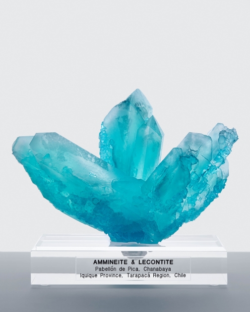 Lecontite and Ammineite
